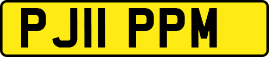 PJ11PPM