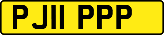PJ11PPP
