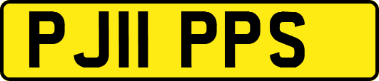 PJ11PPS