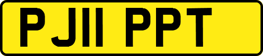 PJ11PPT