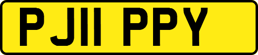 PJ11PPY