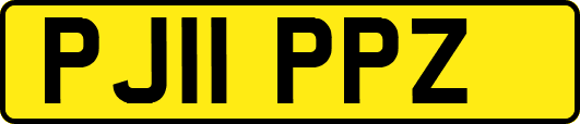 PJ11PPZ