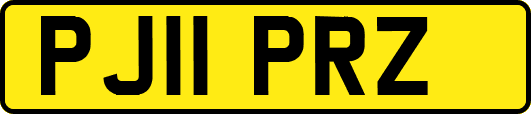 PJ11PRZ