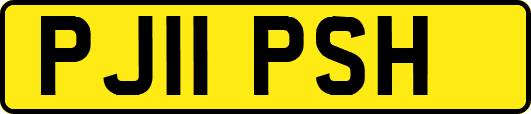 PJ11PSH