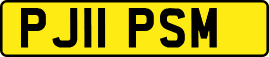 PJ11PSM