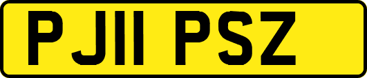 PJ11PSZ