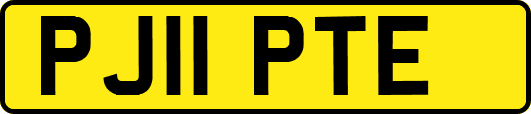 PJ11PTE