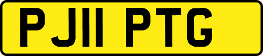 PJ11PTG
