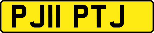 PJ11PTJ