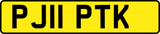 PJ11PTK