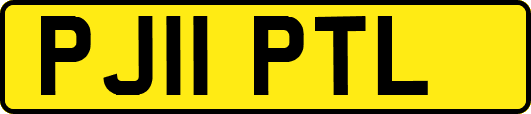 PJ11PTL