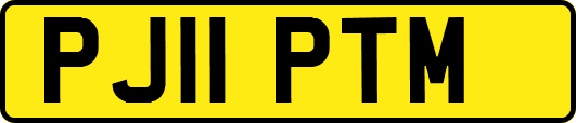 PJ11PTM