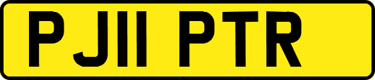 PJ11PTR