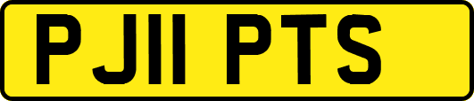 PJ11PTS