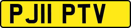 PJ11PTV