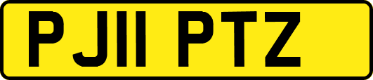 PJ11PTZ