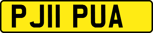 PJ11PUA