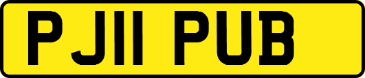 PJ11PUB
