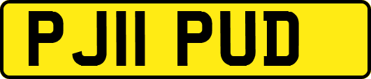PJ11PUD