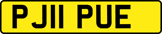 PJ11PUE