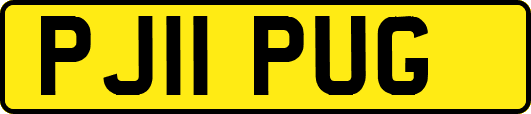 PJ11PUG