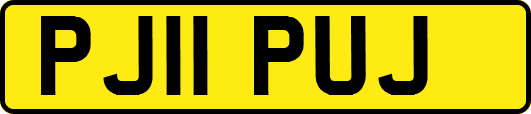 PJ11PUJ