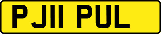 PJ11PUL