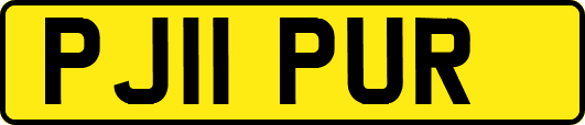 PJ11PUR