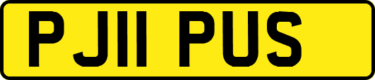 PJ11PUS