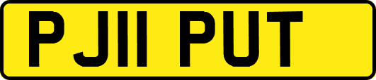 PJ11PUT