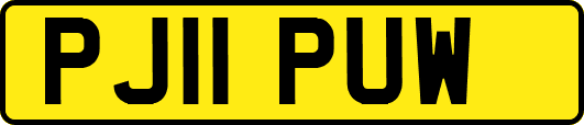 PJ11PUW