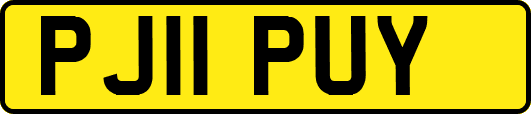 PJ11PUY