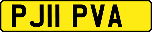 PJ11PVA