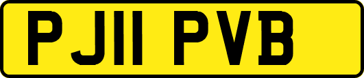 PJ11PVB