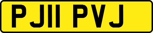 PJ11PVJ