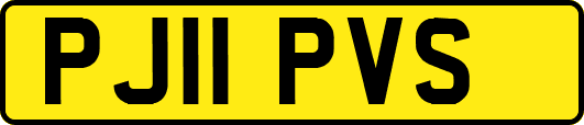 PJ11PVS
