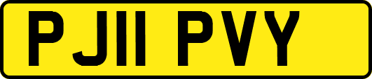 PJ11PVY