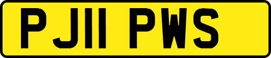 PJ11PWS
