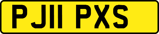 PJ11PXS