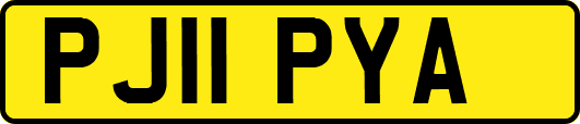 PJ11PYA