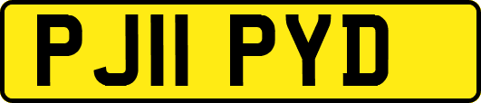PJ11PYD