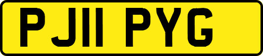 PJ11PYG