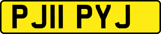 PJ11PYJ