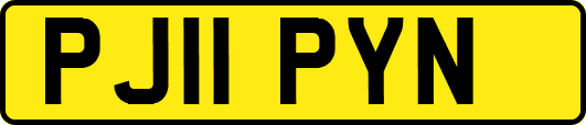 PJ11PYN
