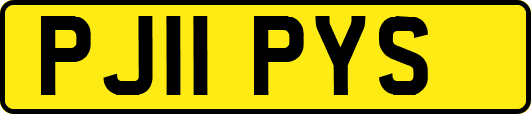 PJ11PYS