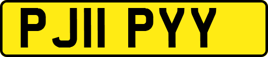 PJ11PYY