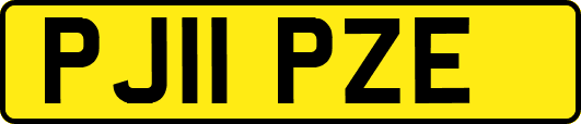 PJ11PZE