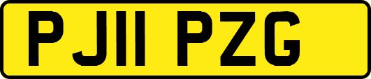 PJ11PZG