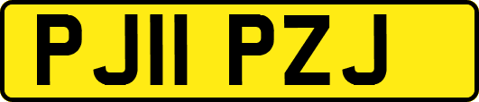 PJ11PZJ