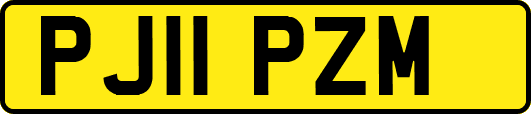 PJ11PZM